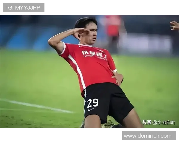 足球明星在赛场上如何展现对裁判的支持与袒护态度解析