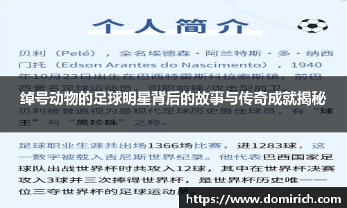 绰号动物的足球明星背后的故事与传奇成就揭秘